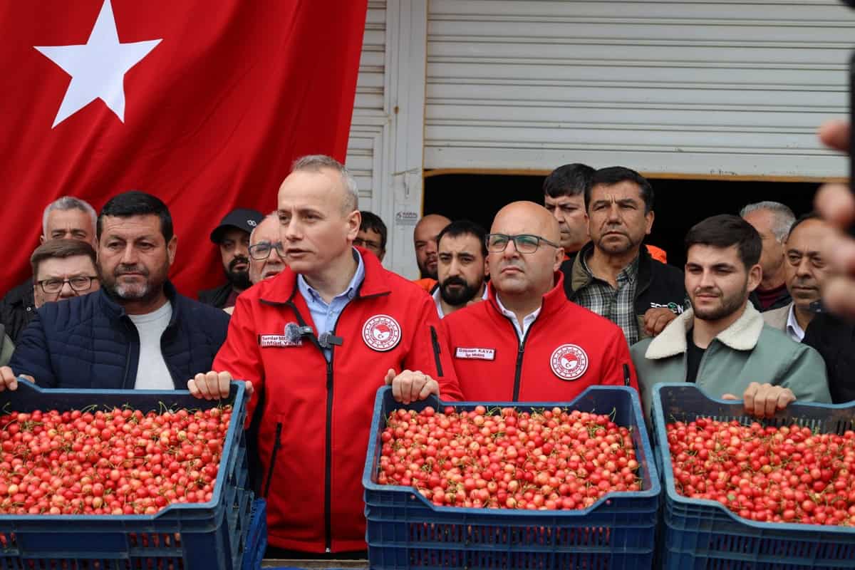 Kiraz-Hasadi-Manisa-6 Son Dakika: 200 Milyon Dolarlık Hedef: Kiraz Hasadı Manisa’da Başladı
