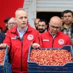 Balıkesir'de meyve hasadı yapan çiftçiler ve üreticiler, taze ve kaliteli ürünleri sergiliyor.