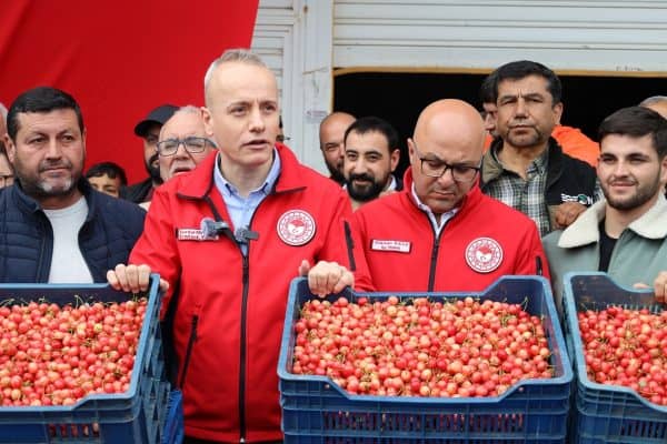 Kiraz-Hasadi-Manisa-7-600x400 Son Dakika: 200 Milyon Dolarlık Hedef: Kiraz Hasadı Manisa’da Başladı