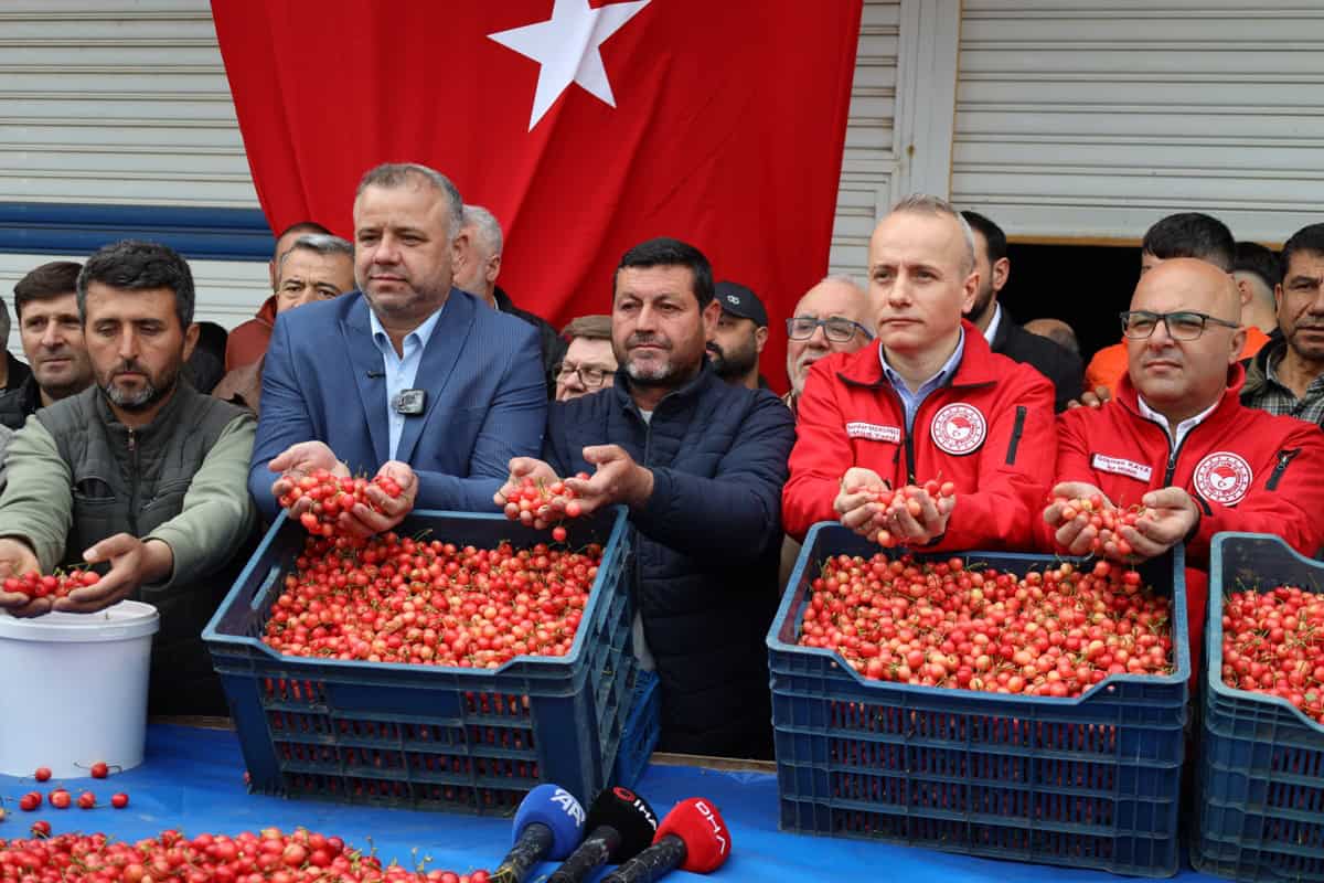 Kiraz-Hasadi-Manisa-9 Son Dakika: 200 Milyon Dolarlık Hedef: Kiraz Hasadı Manisa’da Başladı